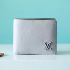 Louis Vuitton Multiple Wallet 12cm