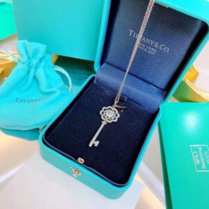 Tiffany & Co Necklace