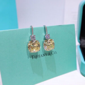 Tiffany & Co Earings