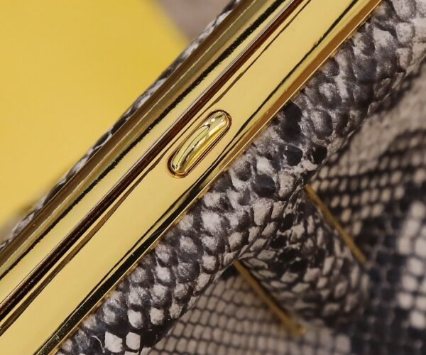 Fendi First Small Python Bag 26cm - Image 5