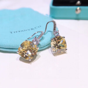 Tiffany & Co Earings