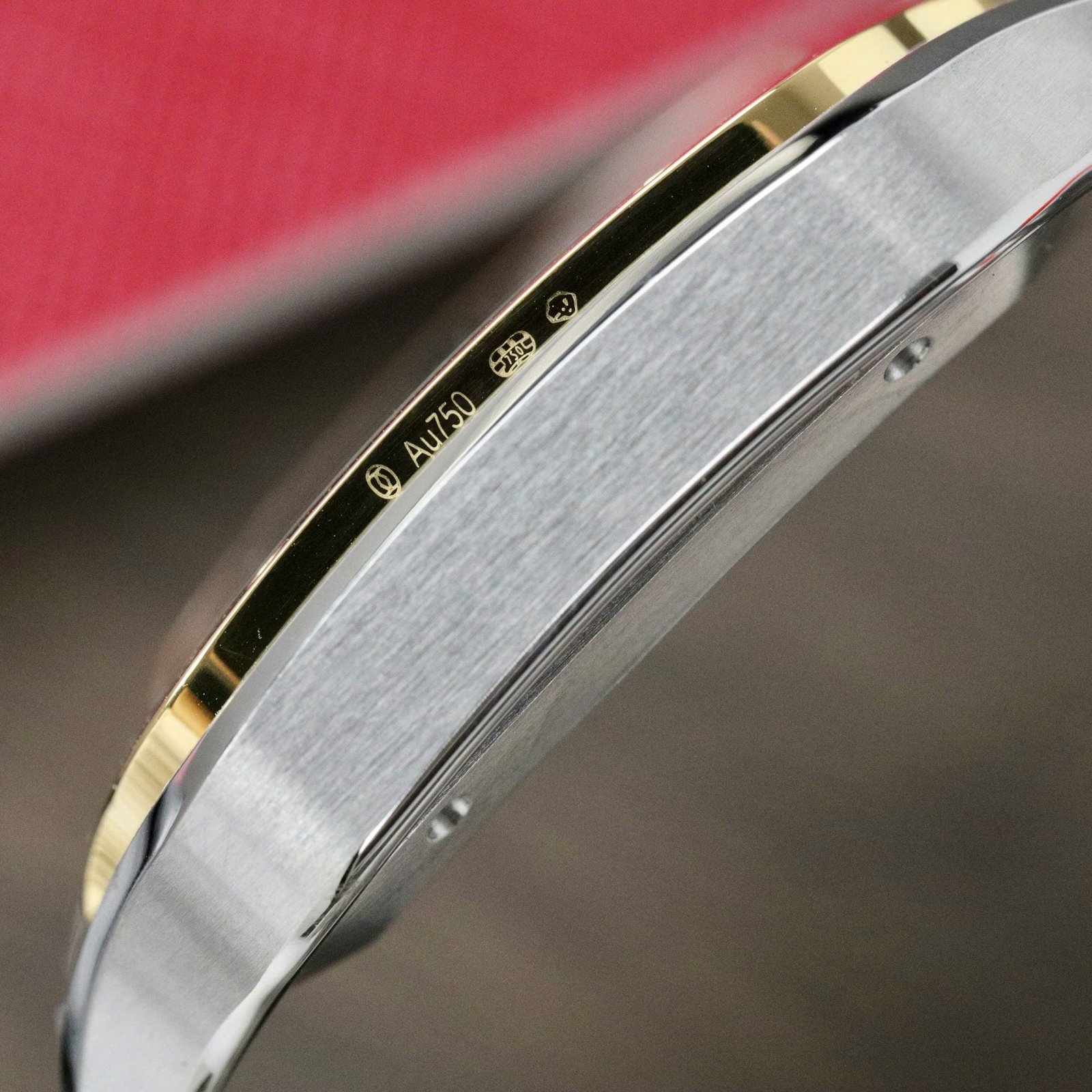 Cartier Santos CRW2SA0030 Watch Gray Dial 39.8mm - Image 9